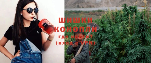 молекула духа Абинск