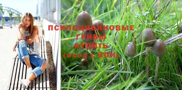 молекула духа Абинск