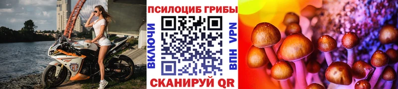 Галлюциногенные грибы Psilocybe  KRAKEN ссылки  Емва  закладки 